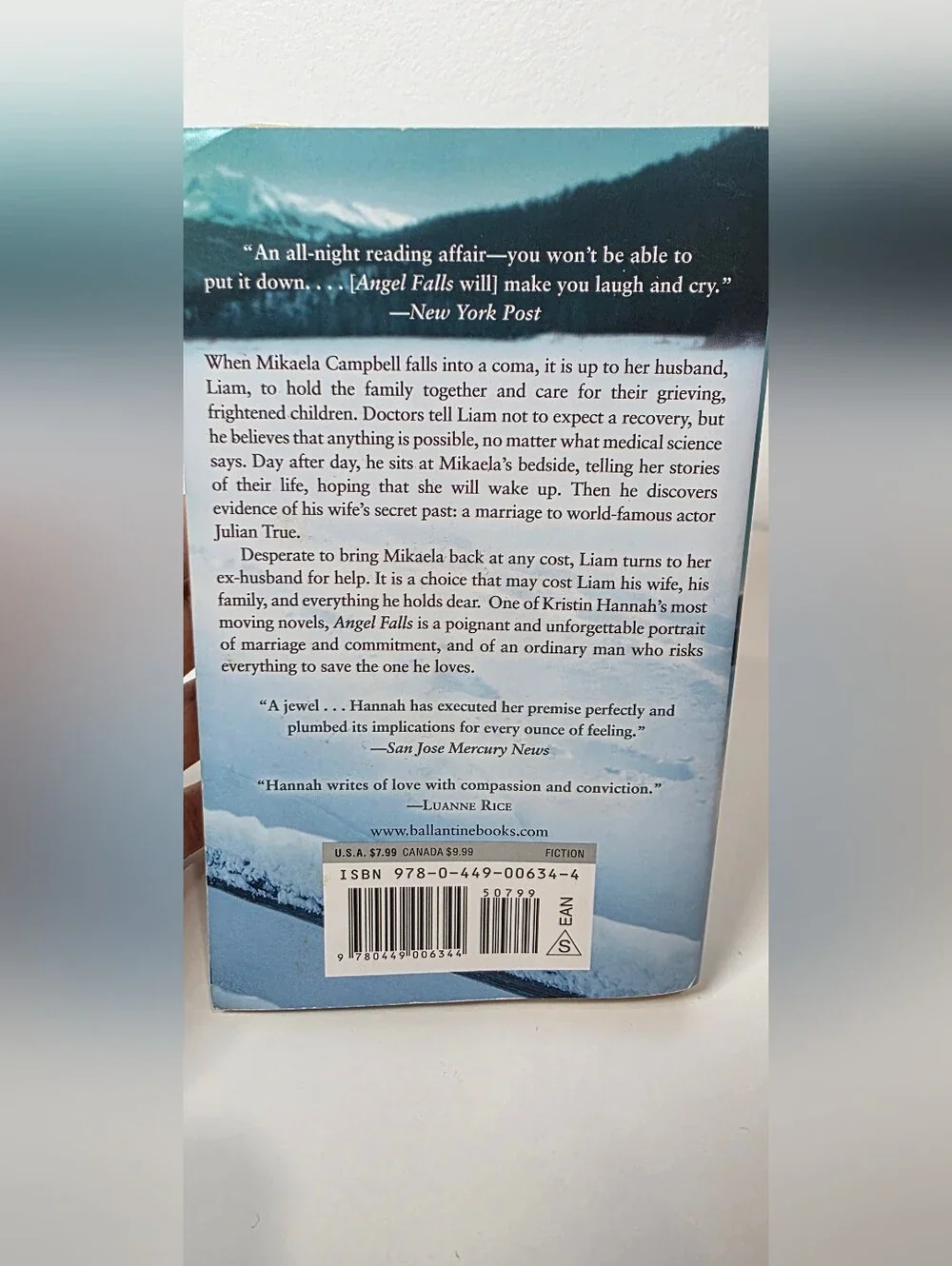 Angel Falls - Paperback
